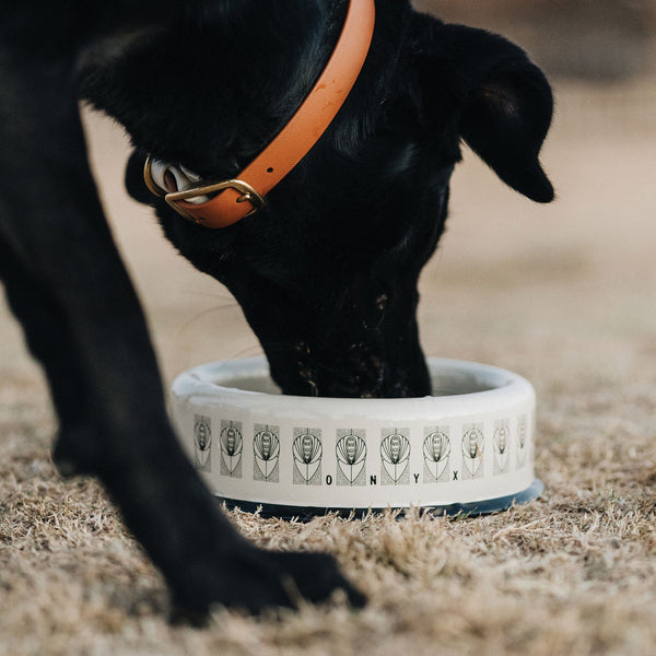 Mucha Enamel Pet Bowl