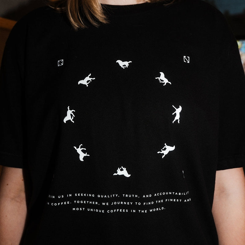 Arrows Shirt